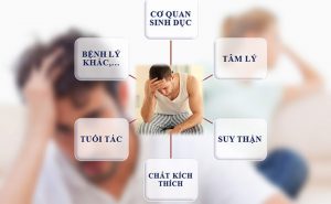 Tác Động Của Stress và Lo Âu Đến Khả Năng Cương Dương